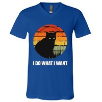 I Do What I Want Vintage Funny Cagreat Gift For Cat Dad/mom Gift V-Neck T-Shirt