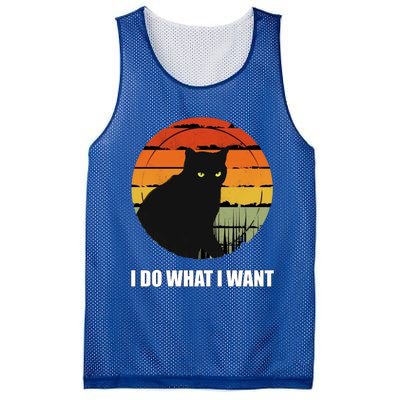 I Do What I Want Vintage Funny Cagreat Gift For Cat Dad/mom Gift Mesh Reversible Basketball Jersey Tank