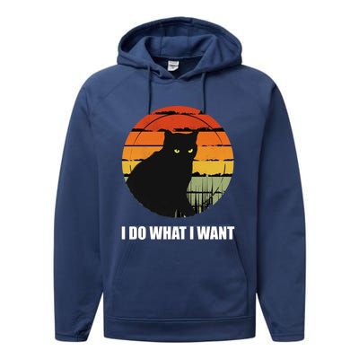 I Do What I Want Vintage Funny Cagreat Gift For Cat Dad/mom Gift Performance Fleece Hoodie