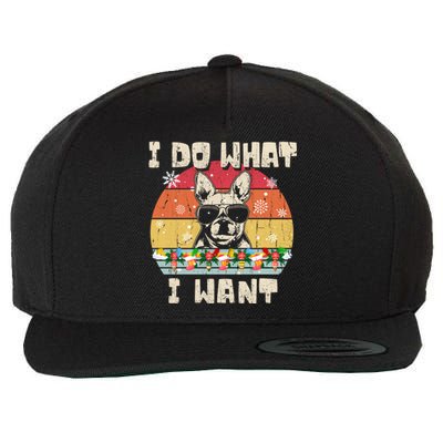 I Do What I Want Frenchie Retro Christmas Style Funny Gift Wool Snapback Cap