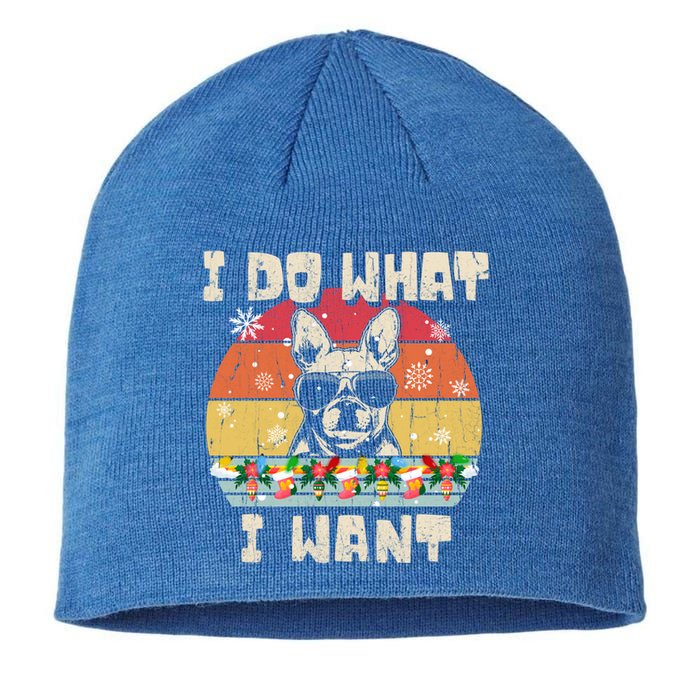 I Do What I Want Frenchie Retro Christmas Style Funny Gift Sustainable Beanie