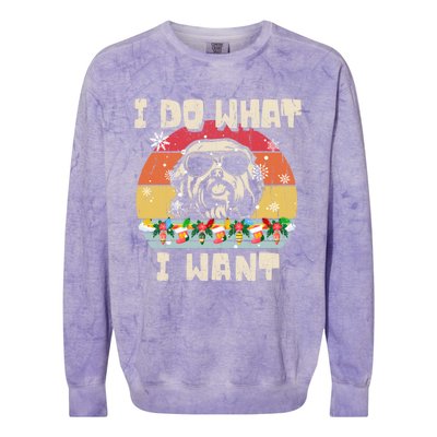 I Do What I Want Havanese Retro Christmas Style Funny Great Gift Colorblast Crewneck Sweatshirt