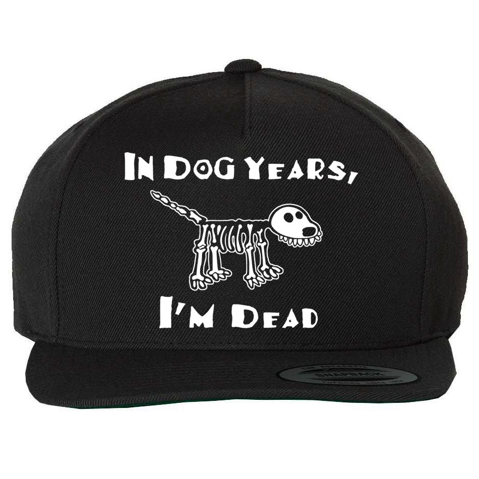 In Dog Years Im Dead Wool Snapback Cap