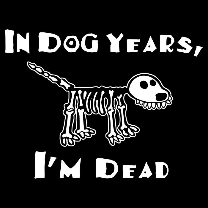 In Dog Years Im Dead Wool Snapback Cap