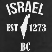 Israel Est 1273 Bc 7 Panel Mesh Trucker Snapback Hat