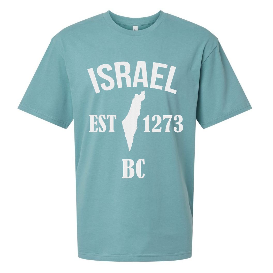 Israel Est 1273 Bc Sueded Cloud Jersey T-Shirt