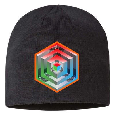 Ingress Echo Anomaly Sustainable Beanie