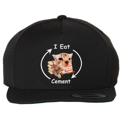 I Eat Cement Cursed Cat Funny Oddly Specific Weird Meme Wool Snapback Cap