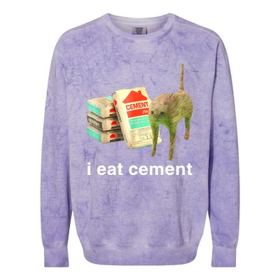 I Eat Cement Cursed Cat Funny Oddly Specific Dank Meme Colorblast Crewneck Sweatshirt