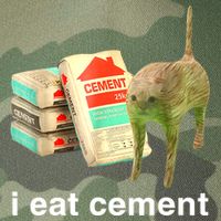 I Eat Cement Cursed Cat Funny Oddly Specific Dank Meme Legacy Tie Dye Trucker Hat