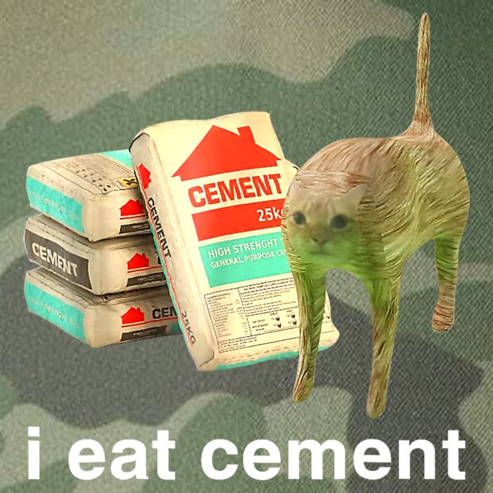 I Eat Cement Cursed Cat Funny Oddly Specific Dank Meme Legacy Tie Dye Trucker Hat