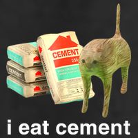 I Eat Cement Cursed Cat Funny Oddly Specific Dank Meme Tumbler