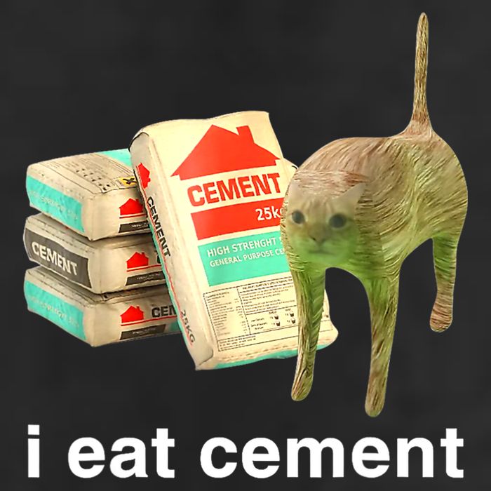 I Eat Cement Cursed Cat Funny Oddly Specific Dank Meme 25L Jumbo Tote