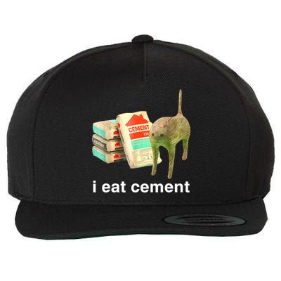 I Eat Cement Cursed Cat Funny Oddly Specific Dank Meme Wool Snapback Cap