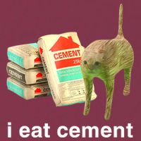 I Eat Cement Cursed Cat Funny Oddly Specific Dank Meme 16oz Travel Tumbler