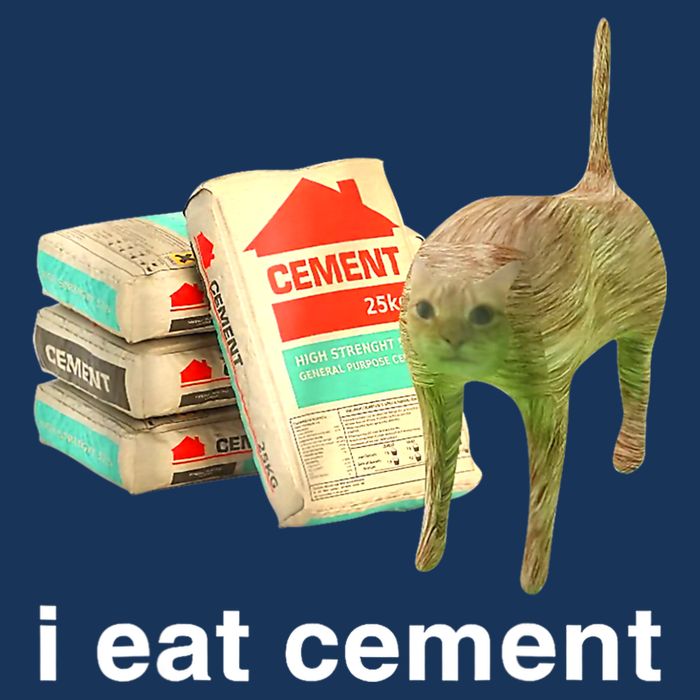 I Eat Cement Cursed Cat Funny Oddly Specific Dank Meme Infant Baby Jersey Bodysuit