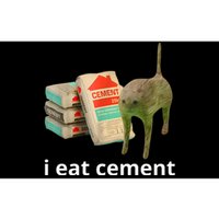 I Eat Cement Cursed Cat Funny Oddly Specific Meme Bumper Sticker