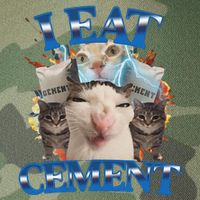 I Eat Cement Cursed Cat Funny Oddly Specific Dank Meme Legacy Tie Dye Trucker Hat