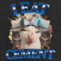 I Eat Cement Cursed Cat Funny Oddly Specific Dank Meme Beanie