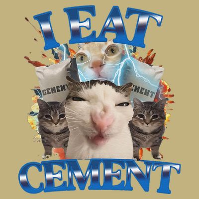 I Eat Cement Cursed Cat Funny Oddly Specific Dank Meme T-Shirt