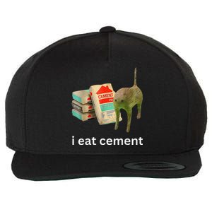 I Eat Cement Cursed Cat Funny Meme Wool Snapback Cap