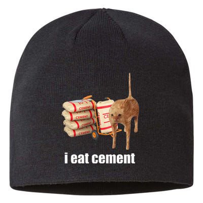 I Eat Cement Cursed Cat Funny Oddly Specific Weird Sustainable Beanie