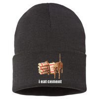 I Eat Cement Cursed Cat Funny Oddly Specific Weird Sustainable Knit Beanie