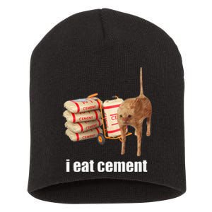 I Eat Cement Cursed Cat Funny Oddly Specific Weird Short Acrylic Beanie