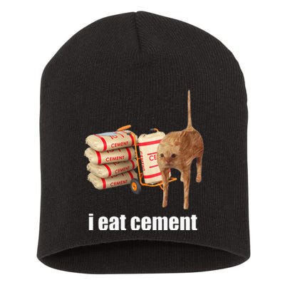 I Eat Cement Cursed Cat Funny Oddly Specific Weird Short Acrylic Beanie