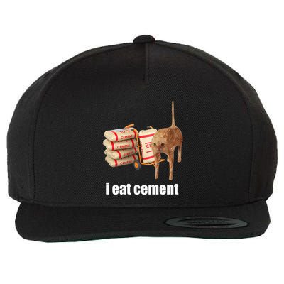 I Eat Cement Cursed Cat Funny Oddly Specific Weird Wool Snapback Cap