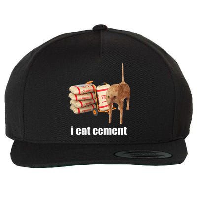 I Eat Cement Cursed Cat Funny Oddly Specific Weird Wool Snapback Cap