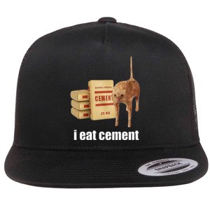 I Eat Cement Cursed Cat Funny Oddly Specific Weird Flat Bill Trucker Hat