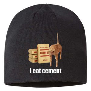 I Eat Cement Cursed Cat Funny Oddly Specific Weird Sustainable Beanie