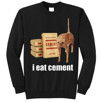 I Eat Cement Cursed Cat Funny Oddly Specific Weird Tall Sweatshirt