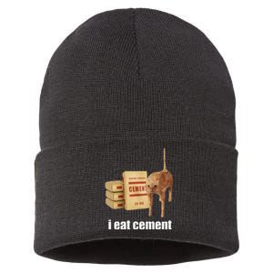 I Eat Cement Cursed Cat Funny Oddly Specific Weird Sustainable Knit Beanie