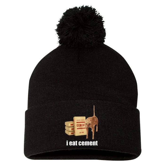 I Eat Cement Cursed Cat Funny Oddly Specific Weird Pom Pom 12in Knit Beanie