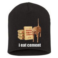 I Eat Cement Cursed Cat Funny Oddly Specific Weird Short Acrylic Beanie