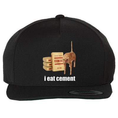 I Eat Cement Cursed Cat Funny Oddly Specific Weird Wool Snapback Cap