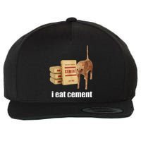 I Eat Cement Cursed Cat Funny Oddly Specific Weird Wool Snapback Cap