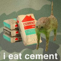 I Eat Cement Cursed Cat Funny Oddly Specific Dank Legacy Tie Dye Trucker Hat