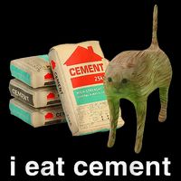I Eat Cement Cursed Cat Funny Oddly Specific Dank 16 in Basic Backpack
