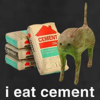 I Eat Cement Cursed Cat Funny Oddly Specific Dank Premium Pullover Hoodie