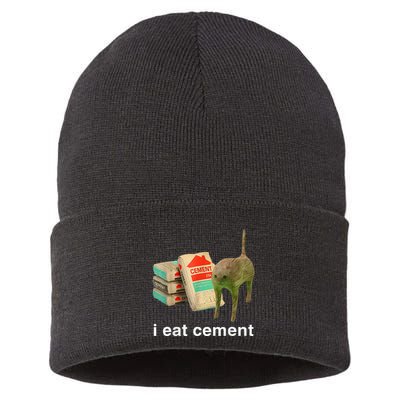 I Eat Cement Cursed Cat Funny Oddly Specific Dank Sustainable Knit Beanie