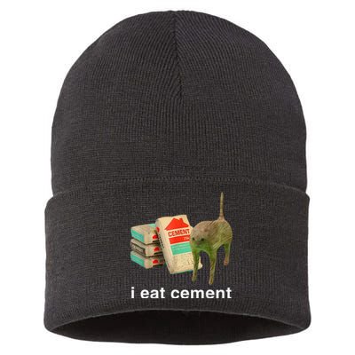 I Eat Cement Cursed Cat Funny Oddly Specific Dank Sustainable Knit Beanie