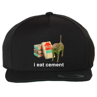 I Eat Cement Cursed Cat Funny Oddly Specific Dank Wool Snapback Cap