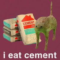 I Eat Cement Cursed Cat Funny Oddly Specific Dank 16oz Travel Tumbler