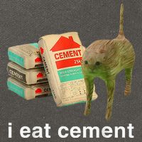 I Eat Cement Cursed Cat Funny Oddly Specific Dank Cotton Canvas Backpack
