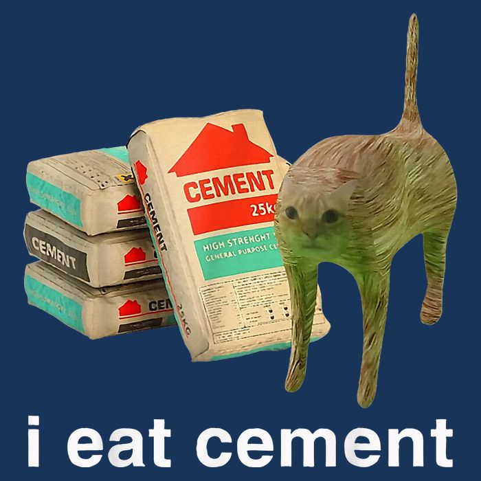 I Eat Cement Cursed Cat Funny Oddly Specific Dank Infant Baby Jersey Bodysuit