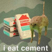 I Eat Cement Cursed Cat Funny Oddly Specific Dank Meme Legacy Tie Dye Trucker Hat