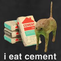 I Eat Cement Cursed Cat Funny Oddly Specific Dank Meme Cool Comfort Performance Bucket Hat